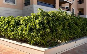 Jardines De Las Marinas Con Una Gran Terraza