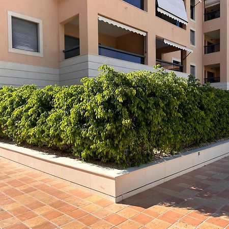 Jardines De Las Marinas Con Una Gran Terraza Apartment Denia Exterior photo